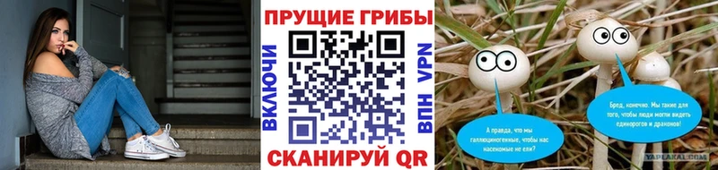 blacksprut ссылка  Джанкой  Галлюциногенные грибы Cubensis 