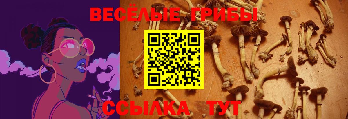 Псилоцибиновые грибы Psilocybe  Вход с VPN  Джанкой 